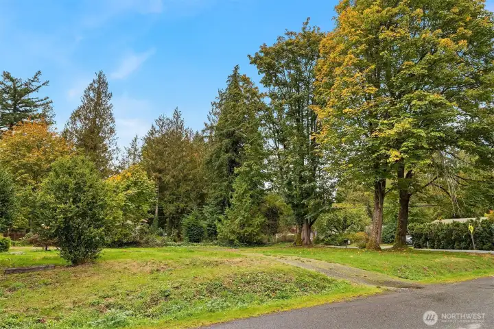 Fantastic .30 acre corner lot featuring beautiful old growth maple trees.