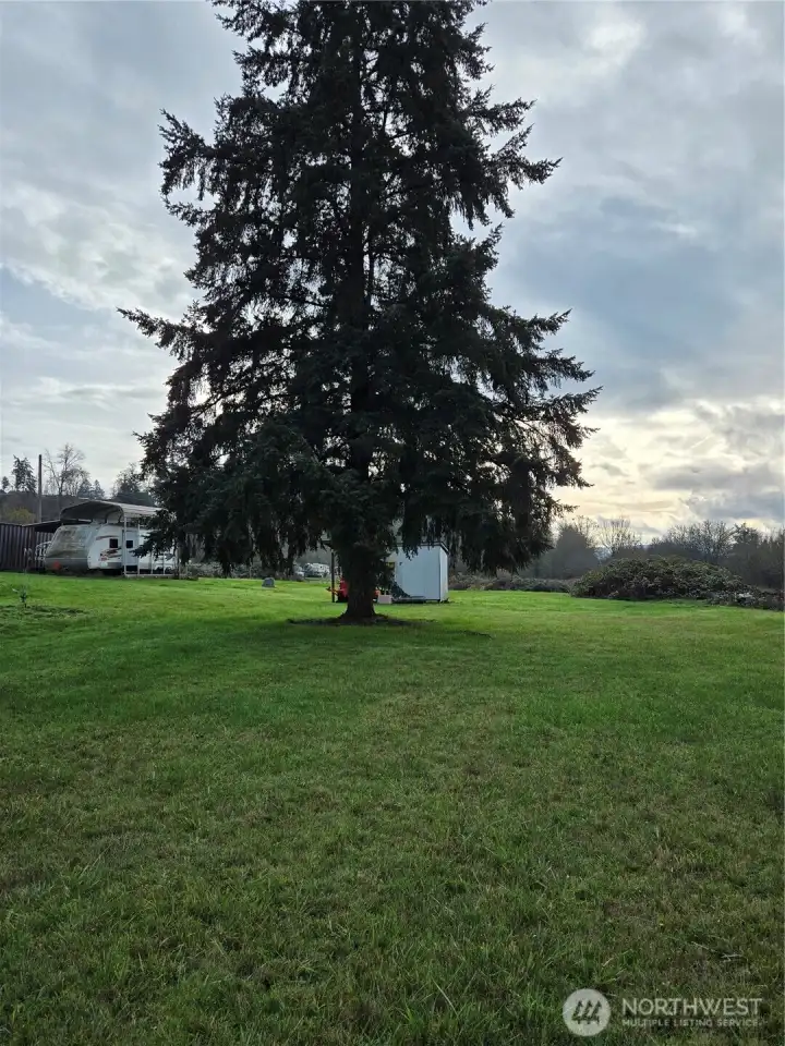 looking south of propperty