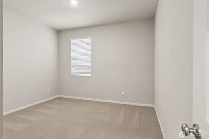 Pics representative may display different color package