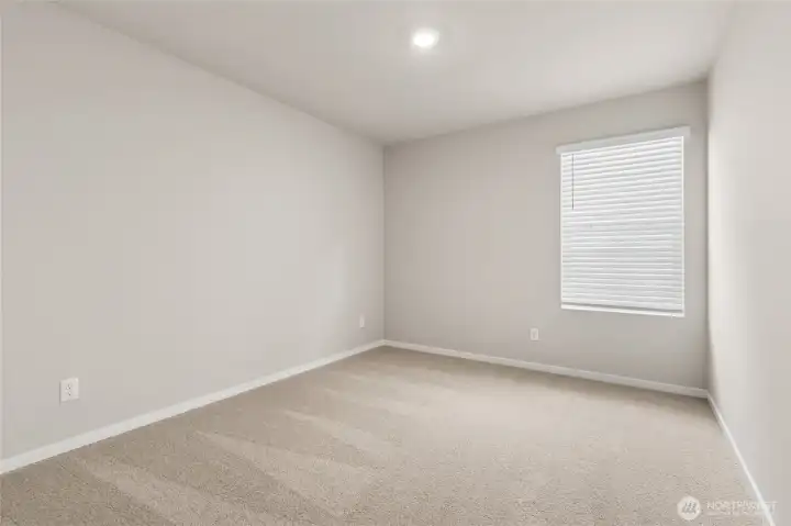 Pics representative may display different color package