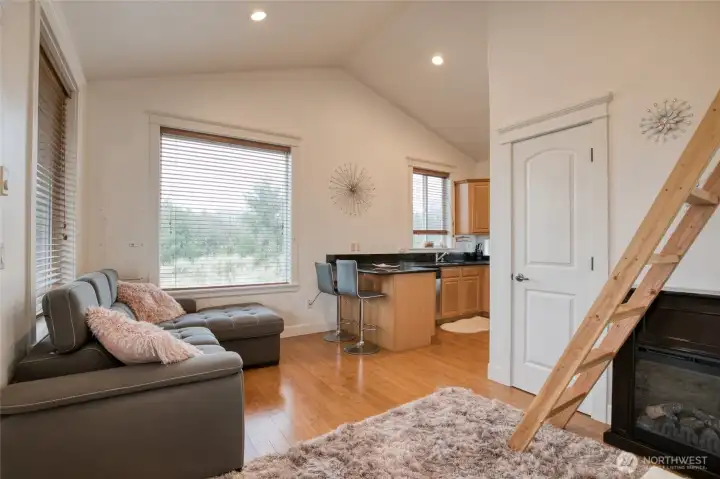 Main floor features a studio style great room with murphy bed, kitchen, and bathroom, with the ladder leading up to the loft.