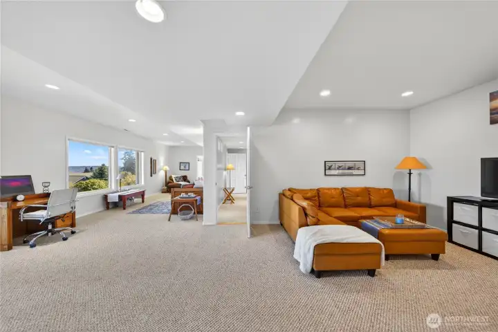 Lower level main living space