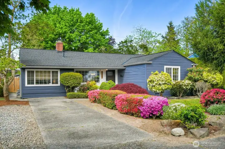 Charming curb appeal with mature landscaping, vibrant blooms, and classic West Seattle rambler design.