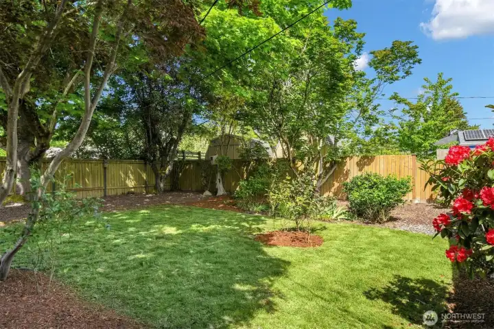 Expansive private backyard with lush lawn, mature landscaping, and peaceful outdoor living space in West Seattle.