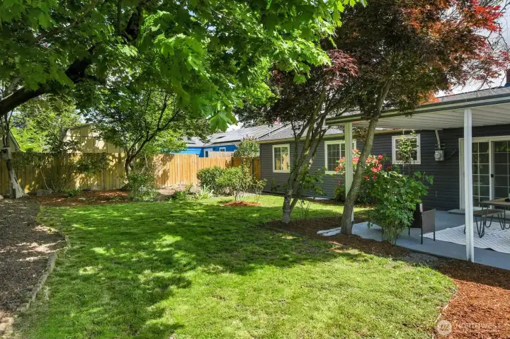 Large shaded backyard anchored by a stunning mature tree offering privacy, beauty, and relaxing outdoor space.