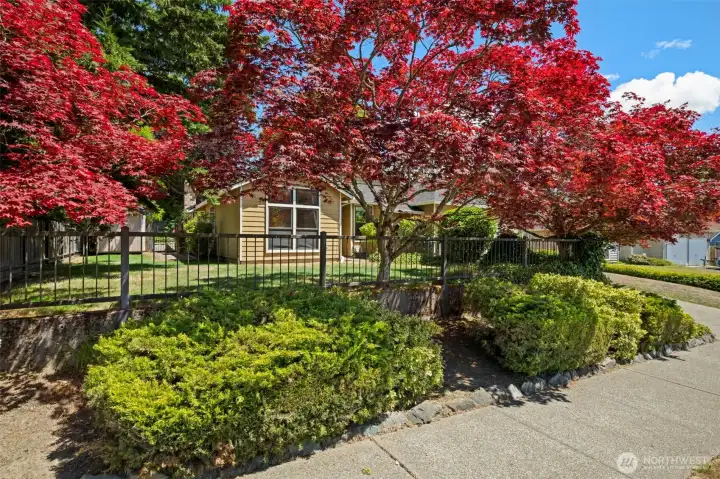 Mature landscaping.