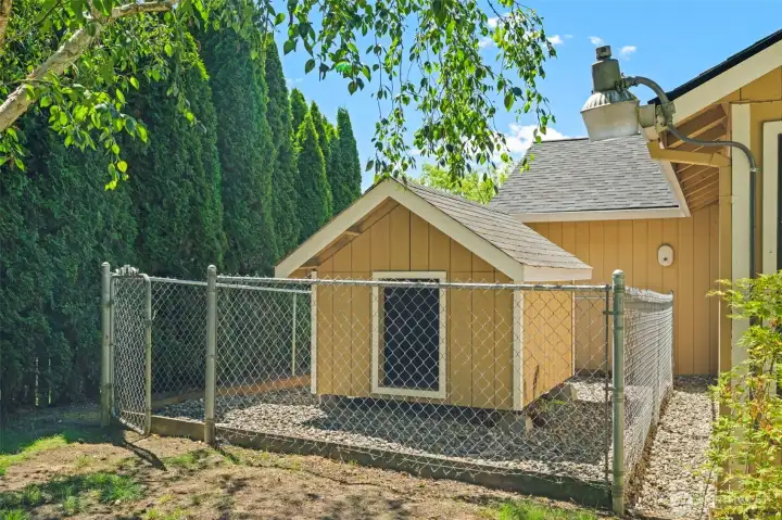 Your pup will love his new house!