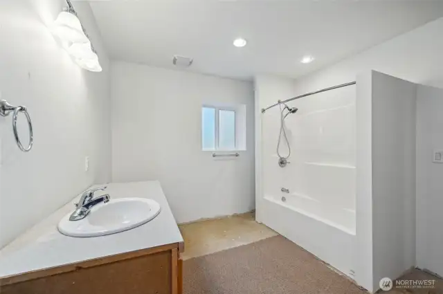 Basement bathroom #4