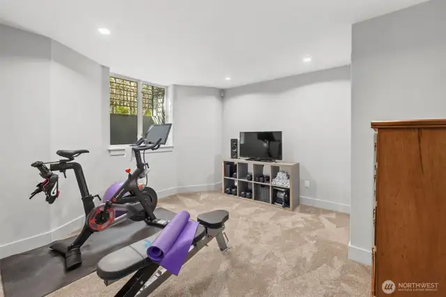 Lower Level Fourth bedroom
