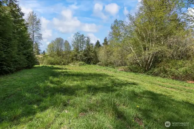 Large yard for all the activities.