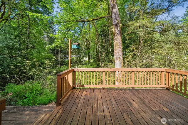 The deck off the kitchen/dinning slider reveals the adjacent neighboring lot and the wide boundary between the two.  Part of Alpine Hills subdivision with community park, community water system and neighbors enfolded on extra large lots.