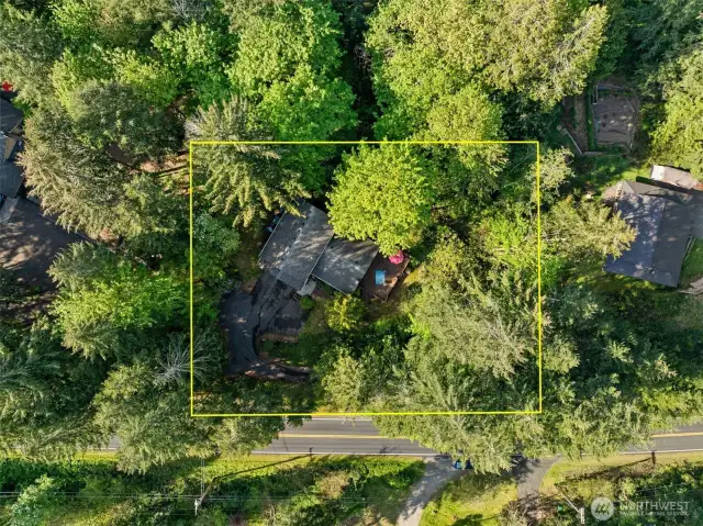 The .87 acre lot sits gently above Alpine drive the dead ends up in the Capital Forest area.    The yellow boundaries show a rough estimate of the lot outline.