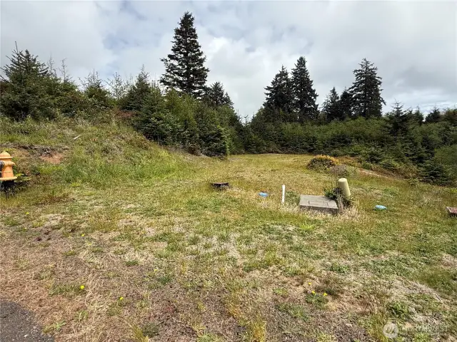 Lot view