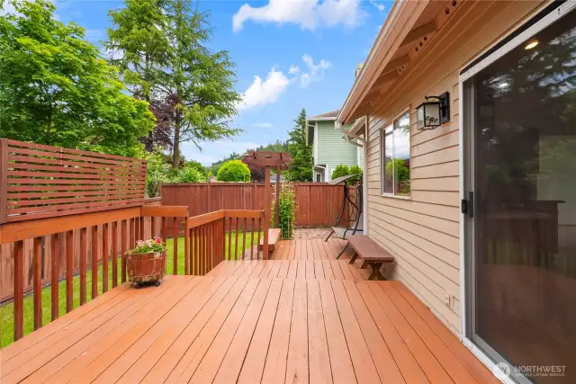 Backyard Deck