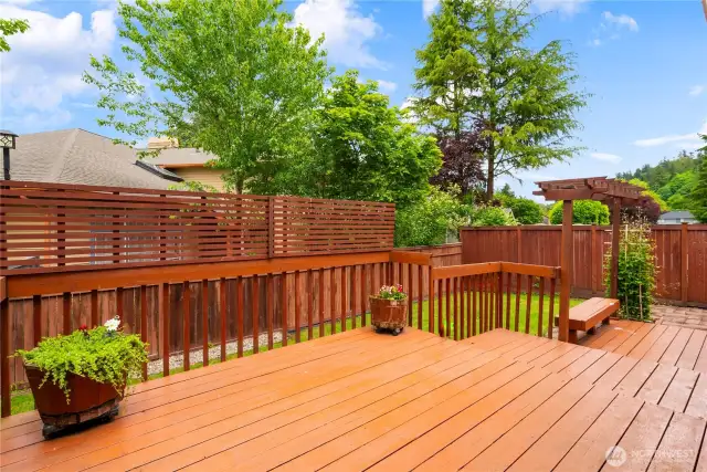 Backyard Deck