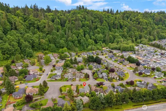 Aerial Shot of Summerfield Community