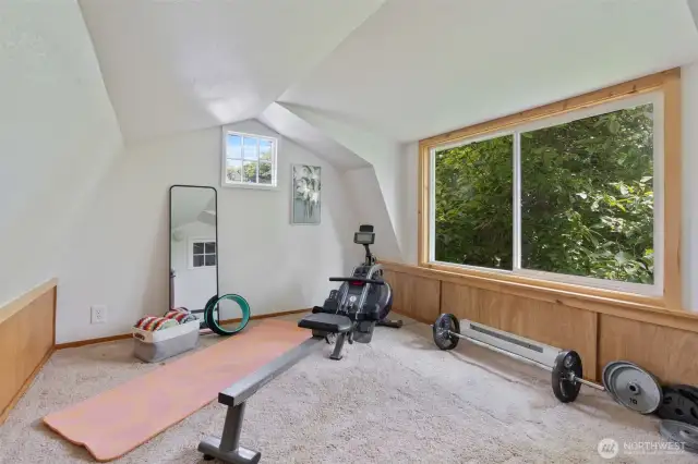 Workout Room in Detached Shed