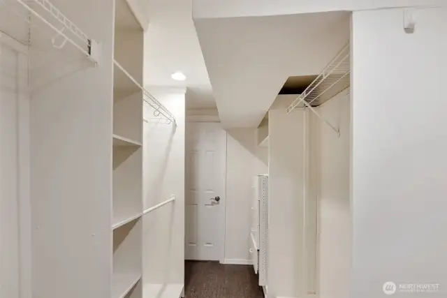 Walk in closet, lower level bedroom
