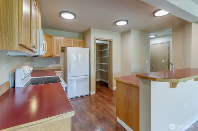 Even has a walk-in pantry!