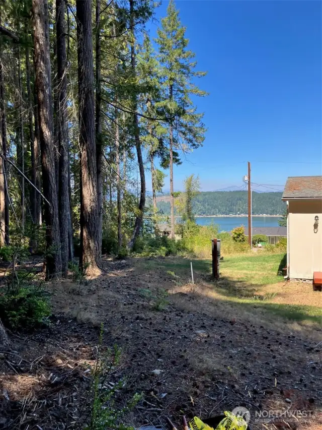 View looking towards Hood Canal and Mtns. from edge of lot line.