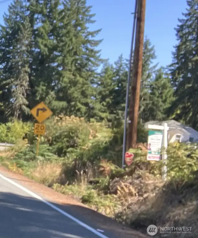 Lot on right just before curve on McReavy.  Slow speeds, quiet area. deer frequently cross the property.