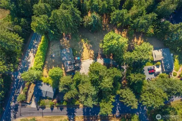 Aerial view of the property, beautifully framed by mature evergreens that provide privacy and a natural setting. The home sits on a spacious lot with plenty of open yard space, surrounded by neighboring properties at a comfortable distance.