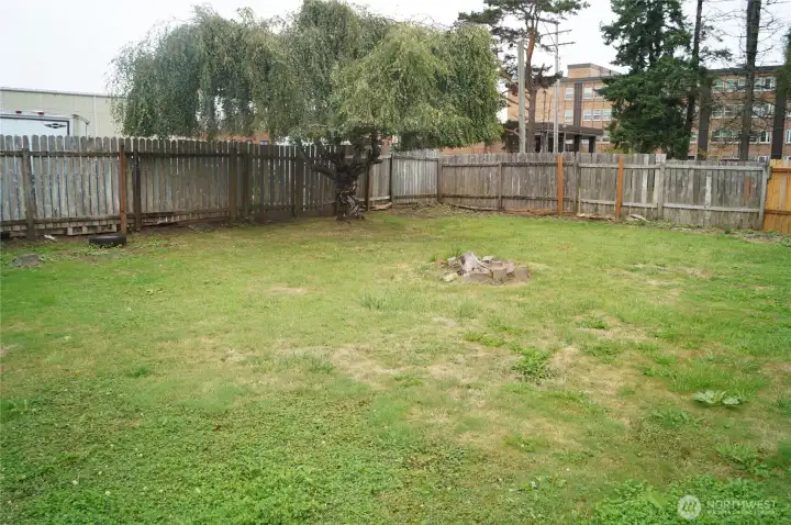 Back yard