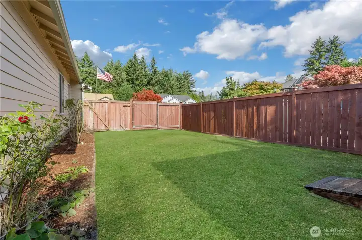 Side yard, East side of home