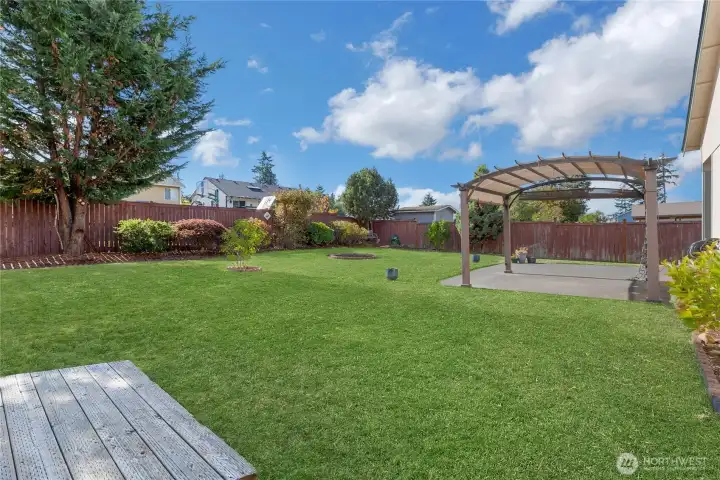 Back yard