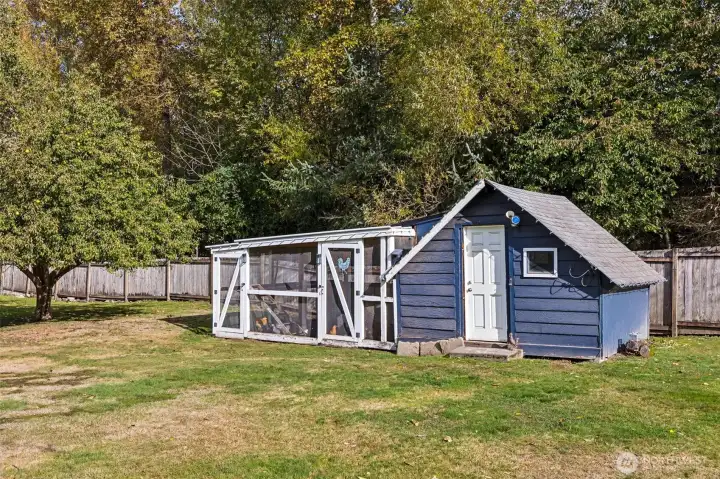 Chicken Coop