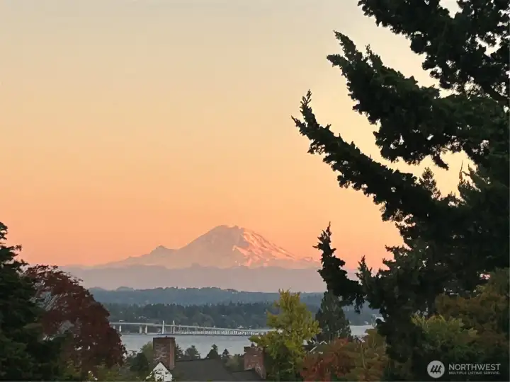 Views of Mt Rainier