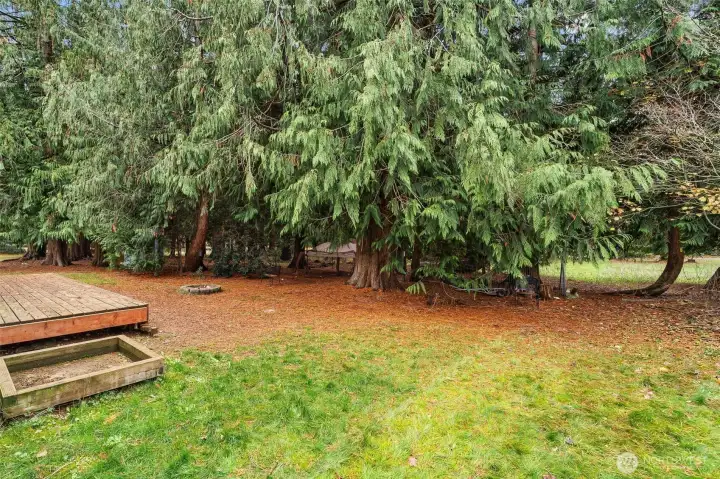 Unit A - Backyard wooded area