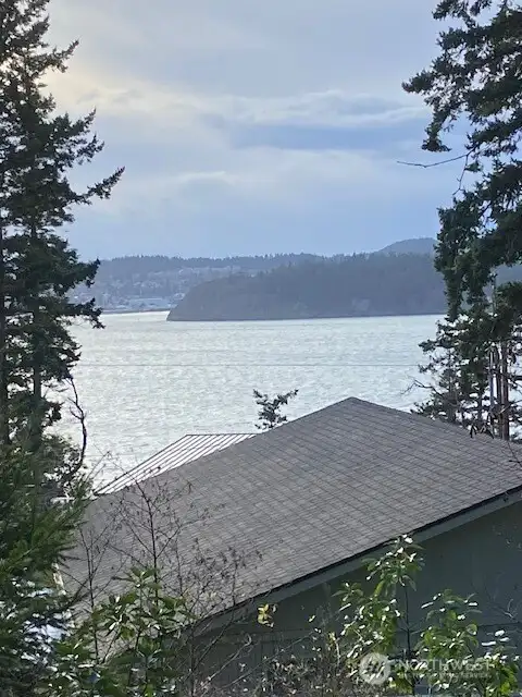 This is a view from the deck towards Cap Sante again.  Some careful plantings could obscure the roof below.