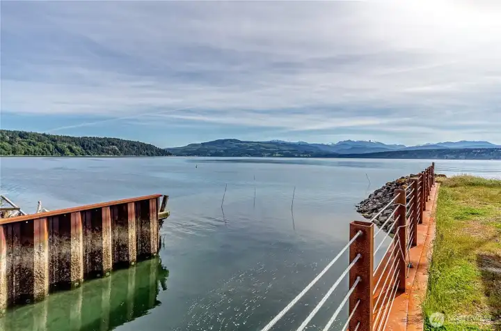 View from the marina,