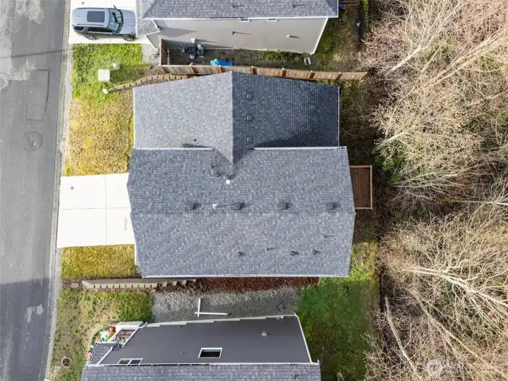 A reassuring shot of the beautiful roof:)