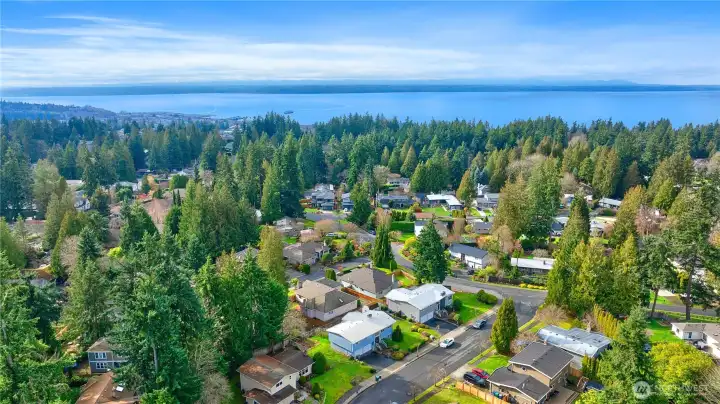 Just minutes to the beach, multiple parks, the Edmonds ferry, top rated schools, shopping, and restaurants in the Edmonds Bowl.