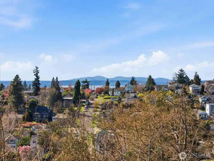 View from Primary Suite