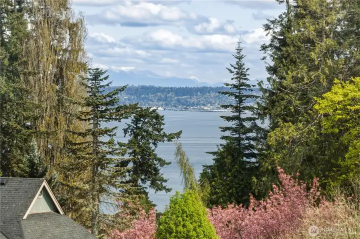 Puget Sound Views from upper level