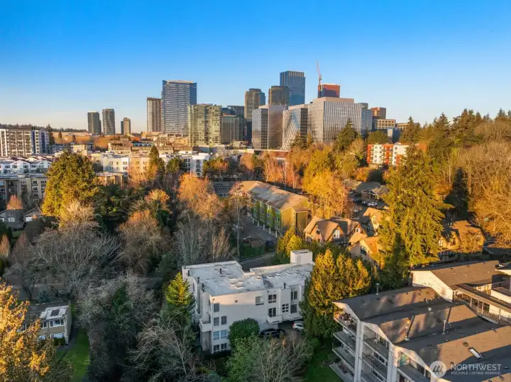 Quiet neighborhood yet so close to Old Main street and Downtown Bellevue