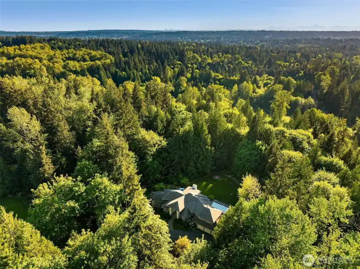 This private retreat is still part of the highly sought-after Saybrook Estates community