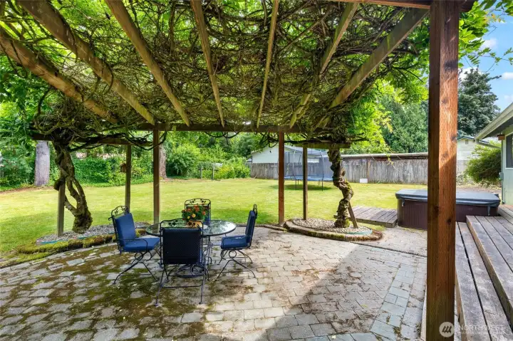 Wisteria trellis, great for back yard relaxation in the shade!