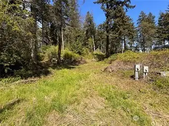 The lot is gently sloped. This view is while standing on the Southern border of the property and looking North towards Geer Ln.