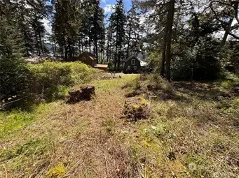 Partially tree'd lot and largely cleared on the southern portion of the lot.