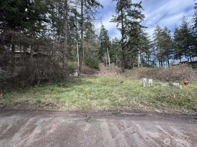 Property as seen from south property line on Huckleberry Ln.