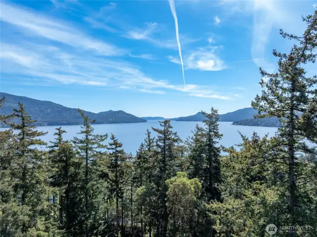Sun-drench South facing marine views through the treetops and down East Sound.