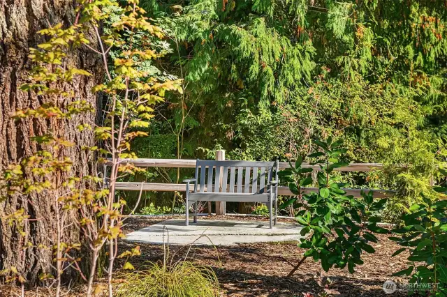 Garden benches are placed throughout the common area gardens.  Come and sit a spell?