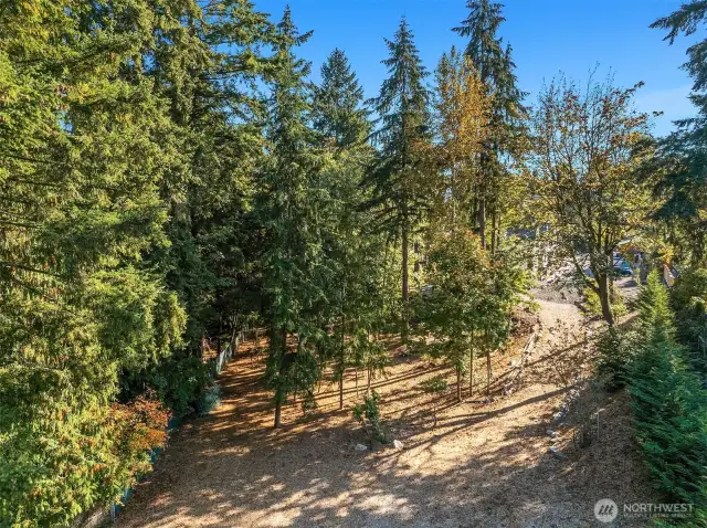 The peaceful woodland oasis is a private park for the community owners.