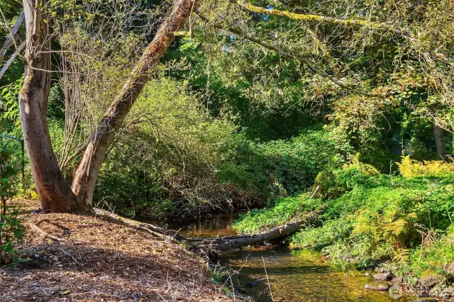 Picturesque Thornton Creek flows through the Thornton Creek Commons property.