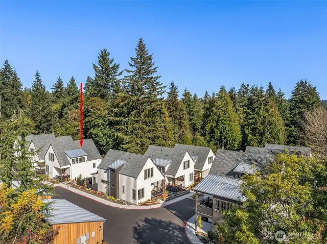 2216 NE 125th is located in the northerly portion of the Thornton Creek Commons community.