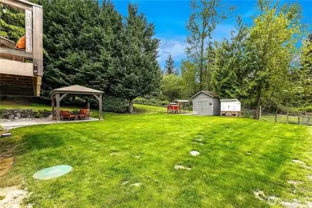 Side yard view